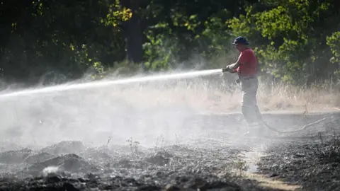 Getty Images A firefighter in a red t-shirt and protective trousers aims a hose at charred ground. Spray and smoke are visible. Green trees are in the background.