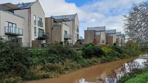 Daniel Mumby Waterside properties facing a canal overgrown with shrubbery