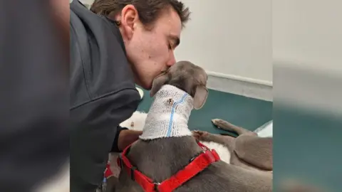 Shaun Reynolds A man with dark hair and wearing a black top kissing a grey whippet dog on the side of the head. The whippet appears to be on a vet table, and is wearing a red harness and has a bandage around her neck.