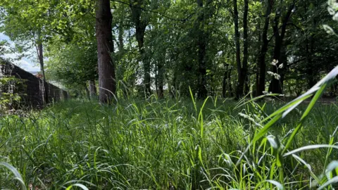 High Peak Borough Council Image of overgrown grass in Glossop