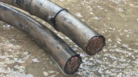 BBC News A close up image of thick cables in the mud, which supply homes and properties with internet and telephone services 