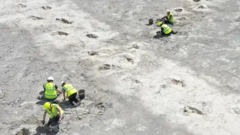 PA Media People in high-vis protective gear dig with trowels and buckets, uncovering a line of dinosaur tracks that intersect with ones already unearthed. 