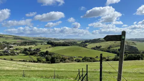 Holly A blank sign post sits at the top of a hill overlooking large green fields in Abbotsbury under a mostly bright blue sky 