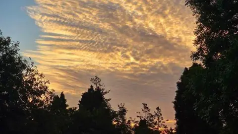 Frances B/BBC clouds above trees