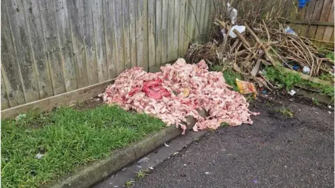 Christine Williams A pile of raw meat heaped onto a verge in Luton. In front of it is a road and behind it is a wooden panelled fence. 