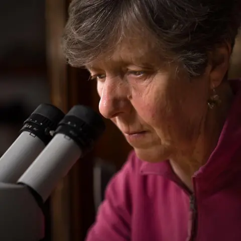 Professor Christine Maggs looks down a microscope