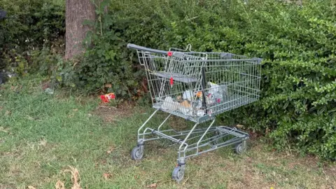 Richard Stangward A metal trolley left on the grass near houses with rubbish inside them