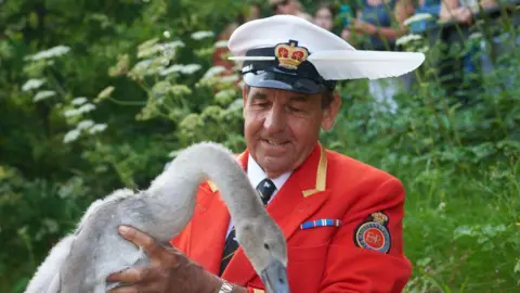 Getty Images A man in a ceremonial red uniform and white military-esque hat holds a young swan