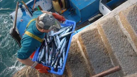 A fisherman seen carrying a box filled with fish up some stone steps from his trawler boat. 