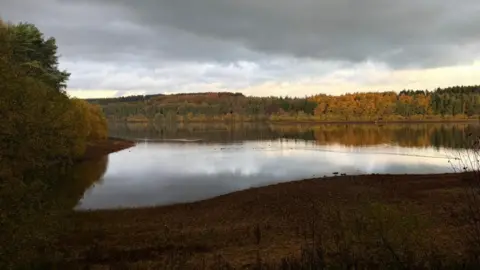 Yorkshire Water Fewston Reservoir is shown, a large body of water surrounded by hills and green and brown autumnal trees. There's also a tree in the foreground on the bank. It's an overcast autumnal day.