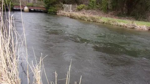 An Environment Agency picture of the River Test flowing through countryside, with the near side appearing brown and polluted