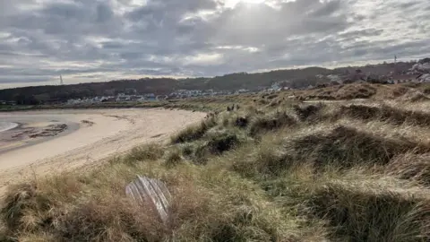 Alderney Wildlife Trust A wide curve of a sandy beach is on the left of the image. There is a large expanse of green marram grass on the sand dunes. White houses with dark roofs can be seen in the background.