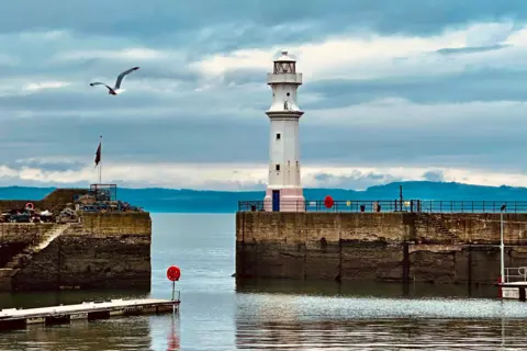 Pat Christie A white lighthouse at a harbour entrance, with a seagull flying overhead, under a cloudy blue sky.