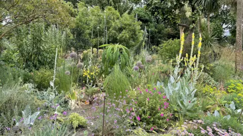 BBC/Jo Makel An image of a garden featuring large trees and colourful flowers.