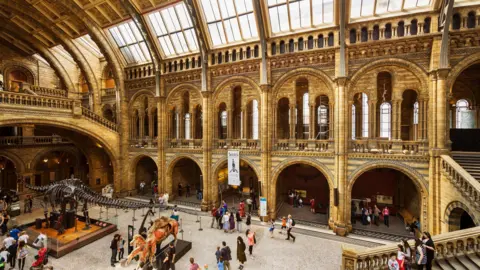 A stock photo within the Natural History Museum of the Central Hall with Dippy, the Diplodocus dinosaur skeleton and people dotted around. 