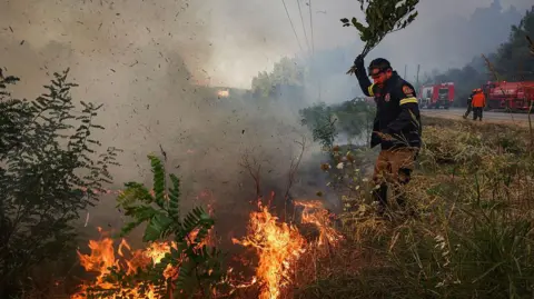 AFP vía Getty Images Un bombero trabaja para extinguir un incendio forestal cerca de Siviri, en el norte de Grecia. Foto: 13 2026