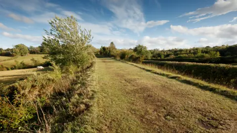 Historic England A green field with trees and a ditch on either side on a sunny day. It is a long, narrow stretch of short rough grass bordered by hedges.