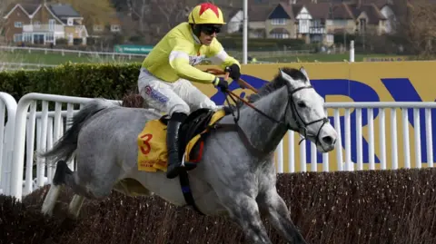 Peter Cziborra/Reuters Harry Cobden is riding Caldwell Potter, a grey gelding, over a chase jump. He is wearing a yellow and white silk with a yellow helmet that has a red star.