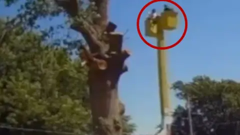Two tree trimmers are seen with a red circle circled around them.