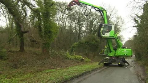 A large green extendable grabber moving along a road and taking pieces from tall trees on the verge.