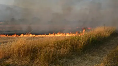 Suffolk Fire and Rescue Service A stubble field alight. Bright orange flames have taken hold of the field.