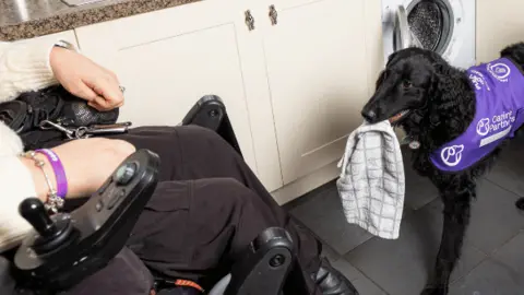 Canine Partners Samantha, a woman, with short golden hair. She is sitting on a motorised wheelchair with her black dog standing in her front of her, holding a tea-towel in his mouth.