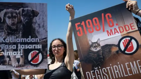 Getty Images A protest in Turkey against plans to take stray dogs off the street