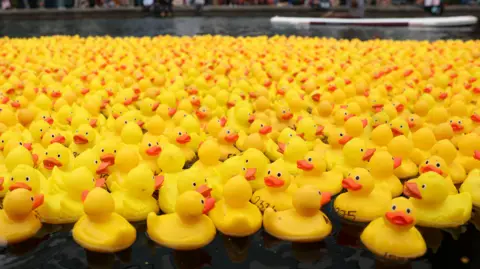 Reuters A large number of yellow rubber ducks in the canal in the Paddington basin. 