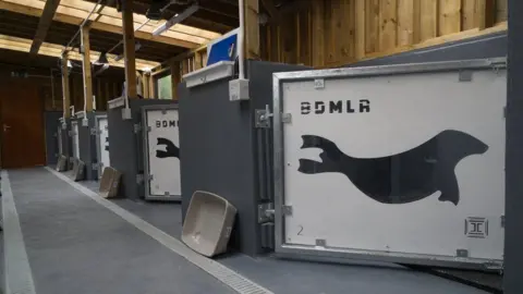 Gavin Parsons Seal hospital