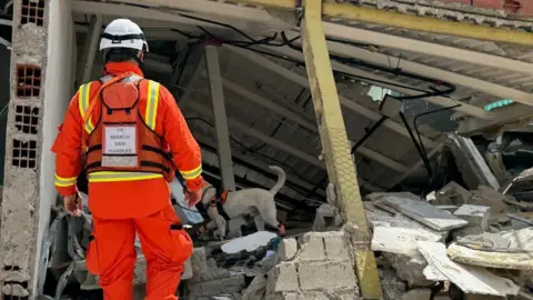 ECFRS White dog Bailey sniffs among the rubble as Graham Currie, wearing orange and a white helmet, watches on.