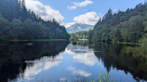 Laurence Diver A loch surrounded by forest with a mountain in the background