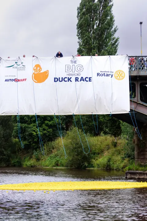 Louise Amos, Little Miss Buttonmoon Photography Thousands of yellow rubber ducks gather in a river, underneath a bridge with blue ropes hanging from it which helped release the ducks. A white banner saying 'The Big Hereford Duck Race' hangs from the bridge. Lots of trees can be seen in the background.