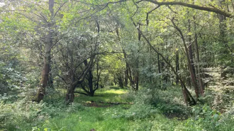 Danes Moss in Macclesfield, Cheshire