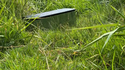 Charlie Stubbs / BBC There is a dark green wooden box with a black lid. This is hidden is long spikey grassland. It is overgrown.