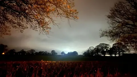 A field and trees are set against a nighttime sky which has been illuminated by warehouse lights. There is a hedgerow in the foreground and in the distance are trees silhouetted against the sky.