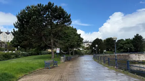 Green space along coastal path in Bangor with green trees.