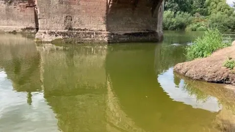 A green river at Ross on Wye