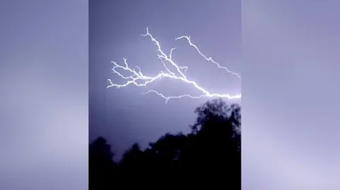 Thunder in the sky behind trees