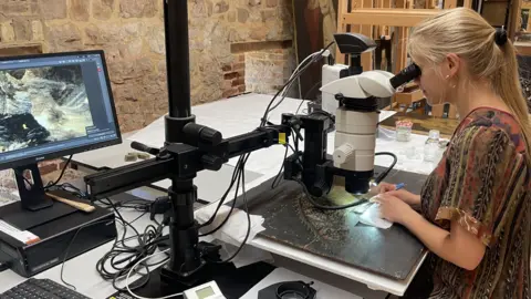 National Trust Woman analysing a painting from Hardwick Hall