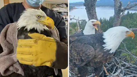 Split screen. Left, Jackie is seen in the hospital. Right, Jackie and Shadow are seen,