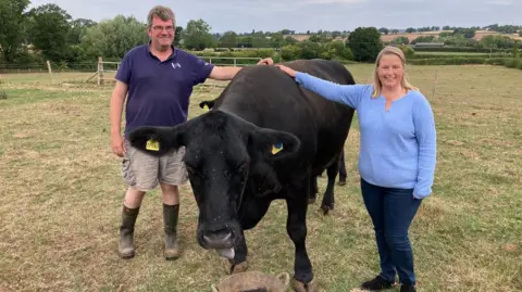 A middle aged couple - a man with grey hair and a woman with shoulder-length blonde hair, smile as they rest their hands on the withers of a black cow in a field. The man is wearing a navy polo shirt, checked shorts and wellies, and the woman is wearing a light blue jumper, skinny jeans and black trainers. It is a cloudy but warm day in the summer, and the grass in the field is scorched.
