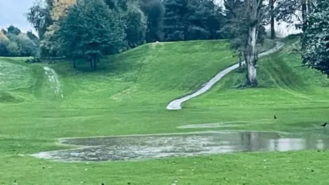 A flooded golf course. There are trees in the distance at the top of a small hill. There is a path leading up the hill in between some of the trees.
