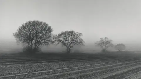 Johnnie Shand Kydd A black and white landscape image of a foggy farmer's field. There are trees in the background.