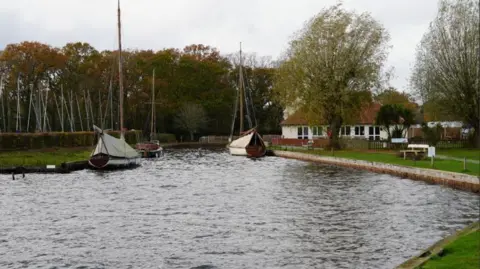 Shaun Whitmore/BBC Traditional wooden sailing boats are moored on the banks of the Broads. There is a whitewashed building in the background and grass banks in the foreground.