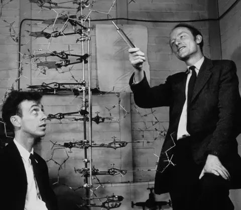 Science Photo Library Watson and Crick