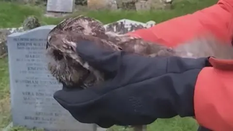 Derek Davey Black gloved hands holding a small, brown owl with church headstones are in the background.