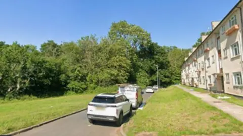 Block of flats and road and grass, with woodland behind. Cars are parked instead of the block of flats.
