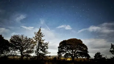 Elspeth Mitchell This image shows stars in a blue sky, with a comet flying through. At the bottom you can see the silhouette of several trees of different shapes and sizes.