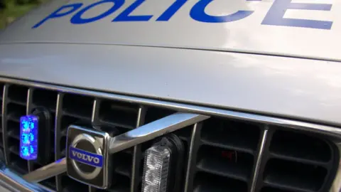 Police car front grille