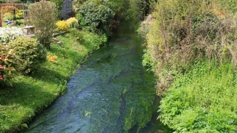 Geograph / Roger Davies A narrow stream flowing between grassy, leafy river banks with a small wooden shed in the background.
